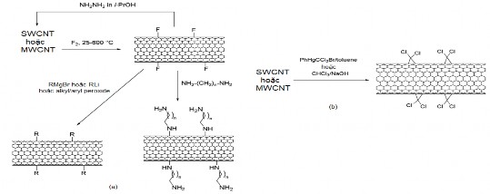 Hình 1 12 a Sơ đồ phản ứng để flo hóa ống nano carbon khử chức hóa và 3
