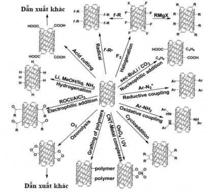 Hình 1 13 Các phản ứng biến tính bề mặt MWCNT 32 Hình 1 14 Biến tính bề 4