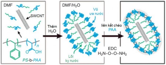 Hình 1 15 Bao gói các ống nano carbon bằng việc sử dụng copolyme poly styren block 6