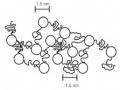 Tình Hình Nghiên Cứu Phát Triển Vật Liệu Polyme Nanocompozit Và Cao Su Nanocompozit Trên Thế Giới Và
