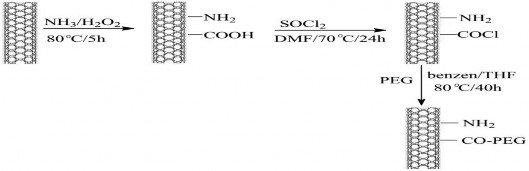 Hình 2 1 Sơ đồ quy trình biến tính bề mặt CNT Gắn nhóm polyetylen glycol PEG 6