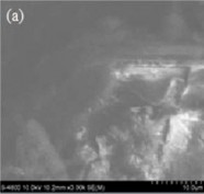 Hình 3 4 Ảnh SEM a vỏ hạt cà phê b Hydrochar CH hiệu suất cao 180 o C 1h c 1