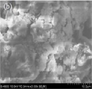 Hình 3 4 Ảnh SEM a vỏ hạt cà phê b Hydrochar CH hiệu suất cao 180 o C 1h c 2