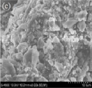 Hình 3 4 Ảnh SEM a vỏ hạt cà phê b Hydrochar CH hiệu suất cao 180 o C 1h c 3