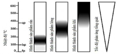 Hình 1 10 Mô tả sự phụ thuộc nhiệt độ của quá trình biến đổi sinh khối 4