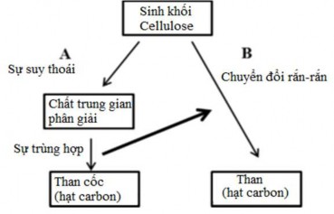 Hình 1 17 Sơ đồ khái quát đơn giản hóa chuyển đổi sinh khối thành Hydrochar 10