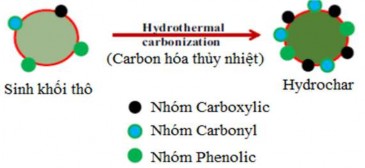 Hình 1 18 Sự hình thành các nhóm chức chứa oxy bằng phương pháp HTC 57 chuyển 11