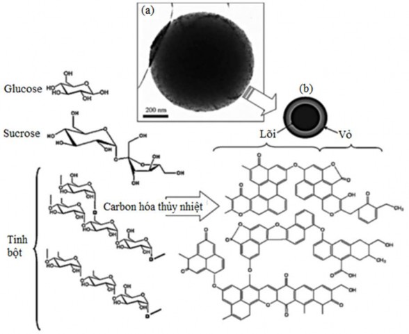 Hình 1 12 Hạt Hydrochar với lõi kỵ nước và vỏ ưa nước 44 chuyển ngữ bởi 6