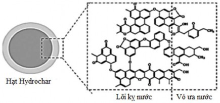 Hình 1 13 Các hạt Hydrochar từ cellulose với lõi kỵ nước và vỏ ưa nước 49 7