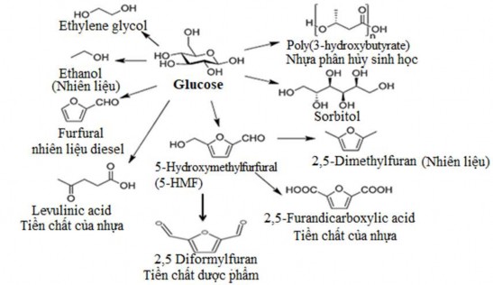 Hình 1 19 Các sản phẩm hóa học điều chế từ glucose 98 chuyển ngữ bởi tác 1