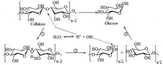 Hình 1 24 Cơ chế hình thành glucose từ quá trình cắt mạch cellulose Phân tử H 2 6