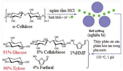 Hình 1 25 Thủy phân cellulose đã được tiền xử lý bằng acid loãng kết hợp 7