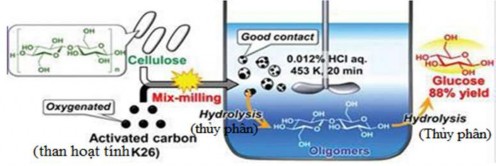 Hình 1 26 Thủy phân cellulose sử dụng tổ hợp nghiền than – cellulose 2 Theo 8