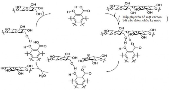 Hình 1 27 Cơ chế phản ứng thủy phân cellulose bằng chất xúc tác than hoạt tính 9