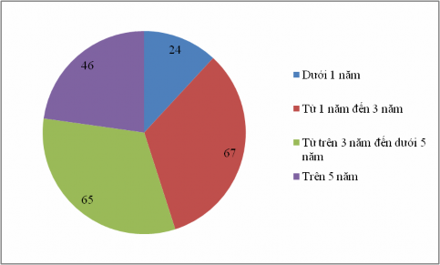 Sơ đồ 3 4 Thống kê mô tả kết quả khảo sát theo thâm niên Nguồn Tác giả 3