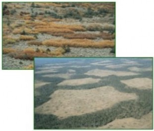 Nhỏ Có một số quy tắc chung điều chỉnh mối quan hệ giữa điểm hạt và 1