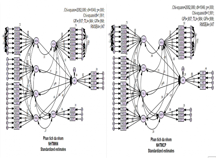 Hình 4 6 Mô hình khả biến về Tính hiệu lực kiểm toán nội bộ của NHTMNN và 3