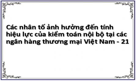Các nhân tố ảnh hưởng đến tính hiệu lực của kiểm toán nội bộ tại các ngân hàng thương mại Việt Nam - 21