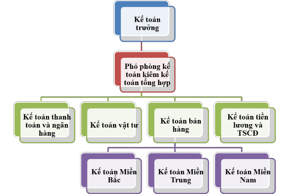 Sơ đồ 2 4 Mô hình tổ chức bộ máy kế toán tại Công ty Cổ Phần Tập Đoàn 1