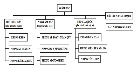 Hình 2 1 Mô hình cơ cấu tổ chức của Agribank Phú Thọ Nguồn Phòng tổng hợp 1