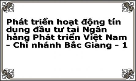 Phát triển hoạt động tín dụng đầu tư tại Ngân hàng Phát triển Việt Nam - Chi nhánh Bắc Giang