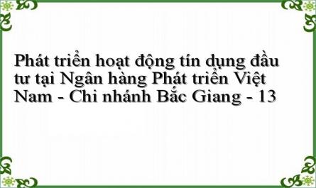 Phát triển hoạt động tín dụng đầu tư tại Ngân hàng Phát triển Việt Nam - Chi nhánh Bắc Giang - 13