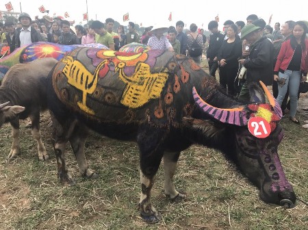 Hội thi trang trí trâu lễ hội Tịch Điền 2015 Nguồn Tác giả Tổng duyệt lễ 9