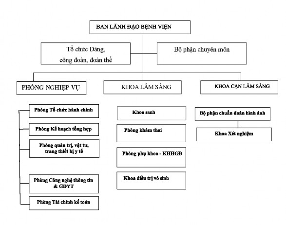 Sơ đồ 3 2 Bộ máy quản lý tại Bệnh viện Phụ sản Nhi Bình Dương Nguồn 1