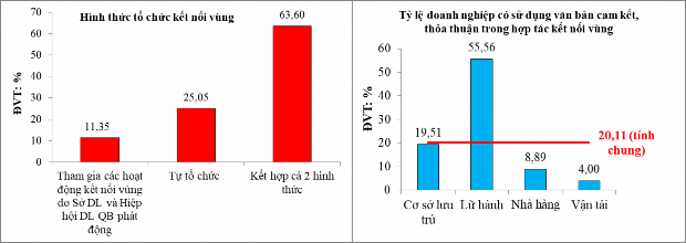 Nguồn Số liệu điều tra năm 2019 Hình 3 8 Hình thức tổ chức kết nối vùng 2