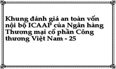 Khung đánh giá an toàn vốn nội bộ ICAAP của Ngân hàng Thương mại cổ phần Công thương Việt Nam - 25