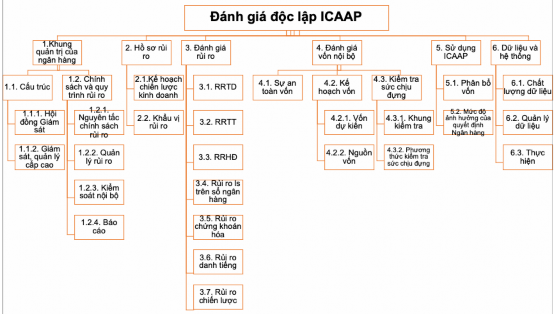 Sơ đồ 1 1 Quá trình đánh giá độc lập bởi cơ quan quản lý SRP Nguồn Tổng 2