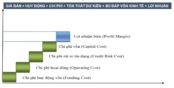 Hình 1 11 Các cấu phần lãi suất cơ bản Nguồn Tổng hợp từ BCBS 2006 Trong 4