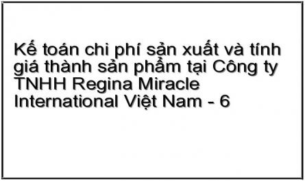 Tổ Chức Công Tác Kế Toán Tại Công Ty Tnhh Regina Miracle International Việt Nam.