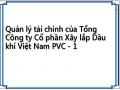 Quản lý tài chính của Tổng Công ty Cổ phần Xây lắp Dầu khí Việt Nam PVC - 1