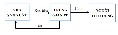 Hình 1 4 Mô hình chuỗi cung ứng đẩy Nguồn Tác giả tự tổng hợp Chuỗi cung 3