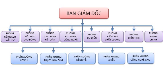 Sơ đồ 2 1 Sơ đồ bộ máy Công ty TNHH MTV Cao su 75 Nguồn Phòng tổ chức – lao 1