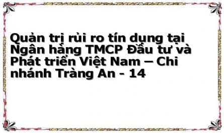 Quản trị rủi ro tín dụng tại Ngân hàng TMCP Đầu tư và Phát triển Việt Nam – Chi nhánh Tràng An - 14