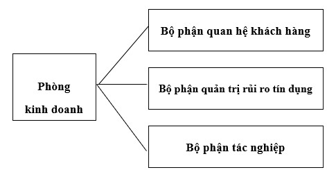 Hình 1 2 Mô hình thứ hai về tổ chức quản trị rủi ro tín dụng của NHTM 2