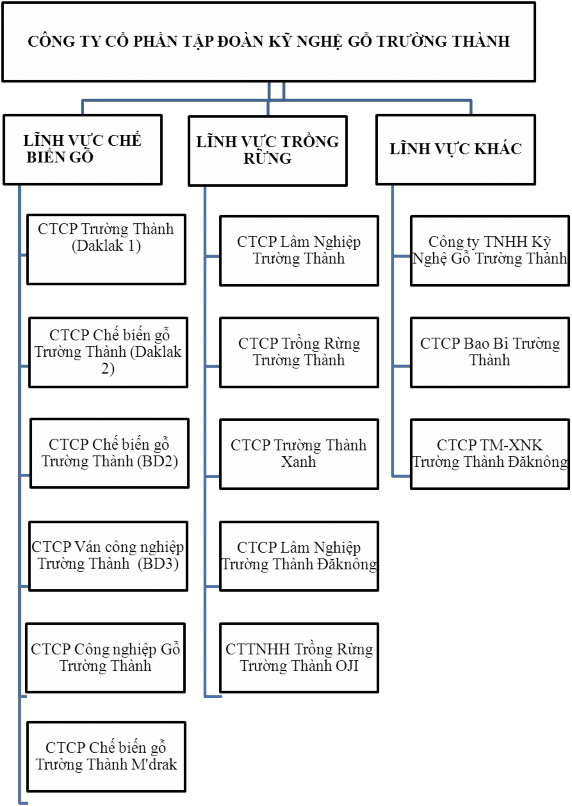Hình 2 2 Sơ đồ cơ cấu tổ chức Tập đoàn Kỹ Nghệ Gỗ Trường Thành 3