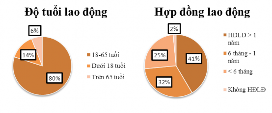 Hình 2 4 Cơ cấu lao động tại TTF Nguồn TTF  80 số người nằm trong độ 1