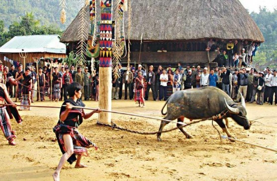 Lễ Hội Đâm Trâu MỘT SỐ HÌNH ẢNH KHÁC VỀ CUỘC SỐNG CỦA NGƯỜI CƠ TU 5