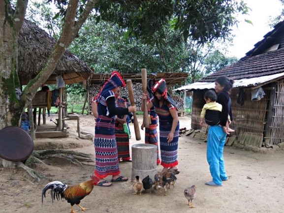 Cơ Tu Lễ Hội Đâm Trâu MỘT SỐ HÌNH ẢNH KHÁC VỀ CUỘC SỐNG CỦA NGƯỜI CƠ TU 7