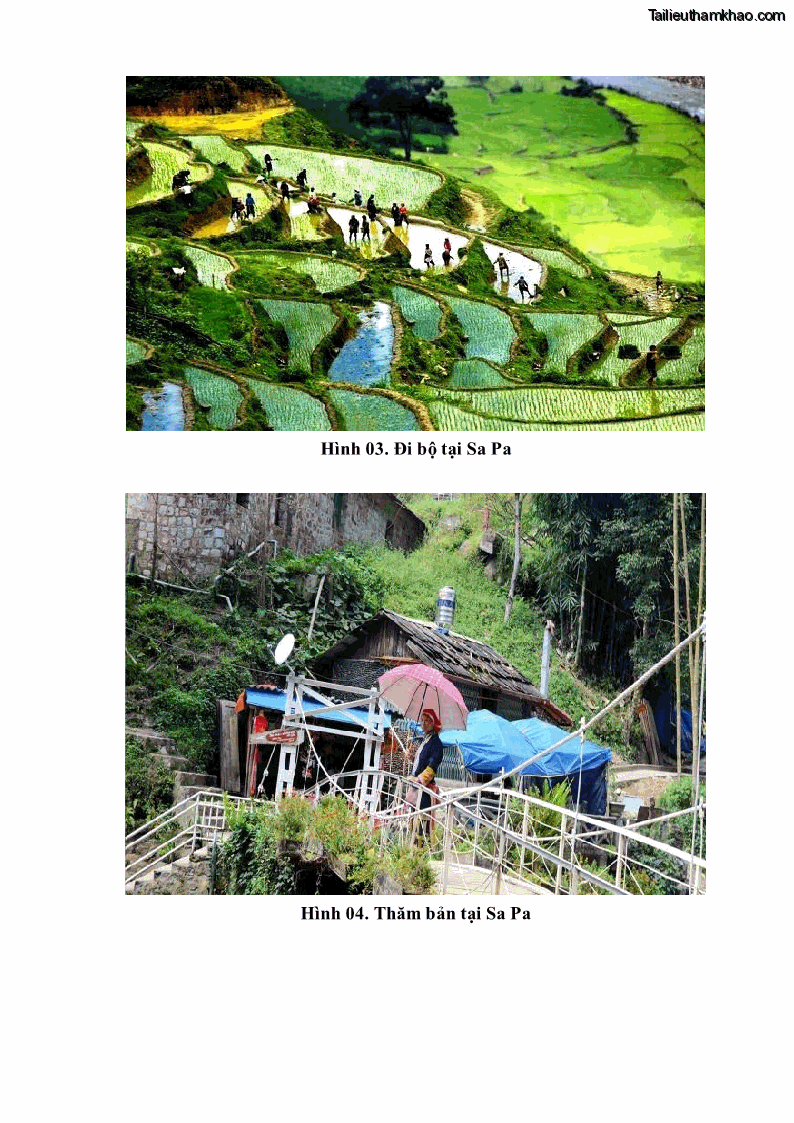 Khóa luận tốt nghiệp văn hóa du lịch Tìm hiểu khả năng khai thác và phát triển một số tuyến du lịch phục vụ du lịch Trekking tại Sa Pa - 7 Trang 84