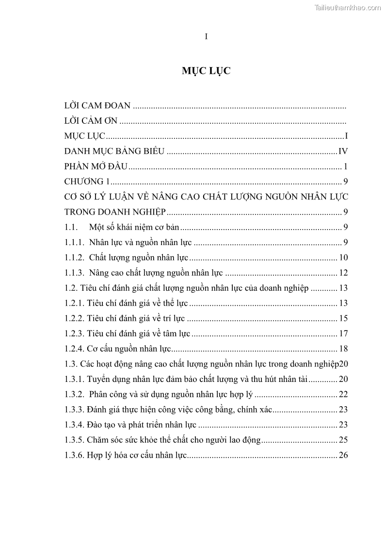 Luận văn thạc sĩ quản trị nhân lực Nâng cao chất lượng nguồn nhân lực tại Ngân hàng Nông nghiệp và Phát triển Nông thôn Việt Nam - Chi nhánh Sở giao dịch - 1 Trang 5