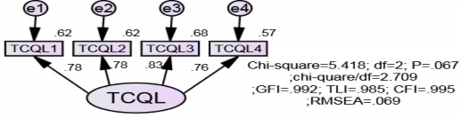 Hình 4 4 Kết quả CFA lần 2 chuẩn hóa của thang đo năng lực năng lực tổ 2