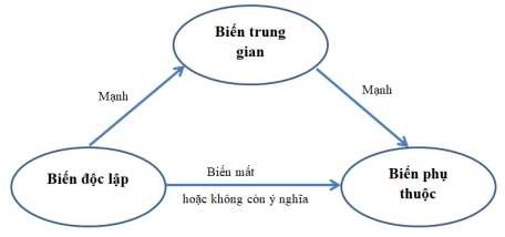 Hình 2 4 Mô hình khái niệm của một ảnh hưởng trung gian toàn phần Nguồn Hà 1