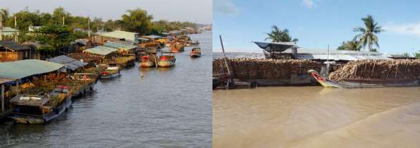 Nguồn Internet Nguồn Nghiên cứu sinh chụp năm 2020 Ảnh 3 Bán Dừa Khô Ảnh 4 11