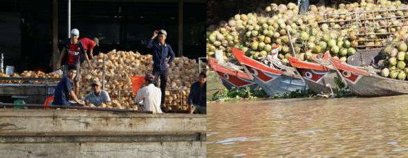 Nguồn Nghiên cứu sinh chụp năm 2020 Nguồn Nghiên cứu sinh chụp năm 2020 Ảnh 5 12