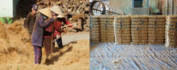 Nguồn Nghiên cứu sinh chụp năm 2020 Nguồn Nghiên cứu sinh chụp năm 2020 Ảnh 9 13