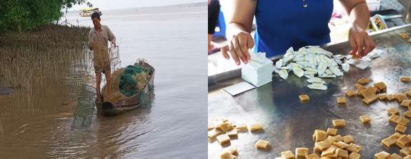 Nguồn Nghiên cứu sinh chụp năm 2020 Nguồn Nghiên cứu sinh chụp năm 2020 Phụ 15